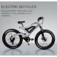 Электрические велосипеды